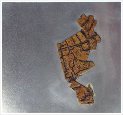 Else-van-Luin--2011--collagraphplaat-ofw.jpg